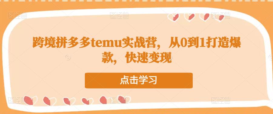 跨境拼多多temu实战营，从0到1打造爆款，快速变现-啄木鸟资源库