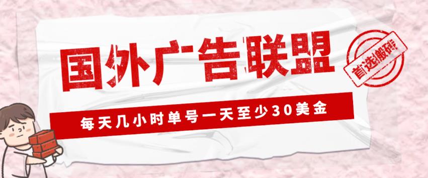 外面收费1980的最新国外LEAD广告联盟搬砖项目，单号一天至少30美金【详细玩法教程】-啄木鸟资源库