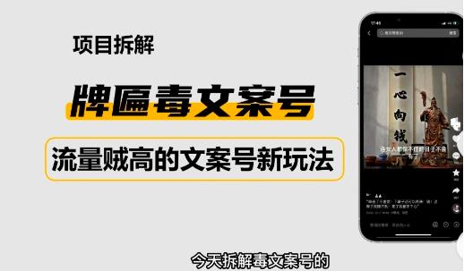 2023抖音快手毒文案新玩法，牌匾文案号，起号快易变现-啄木鸟资源库