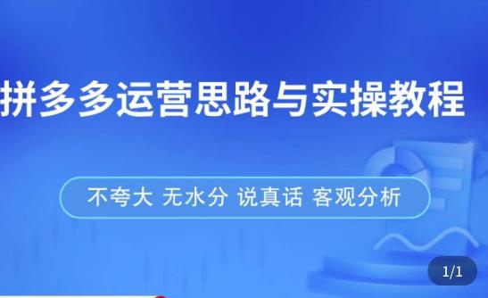 拼多多店铺运营思路与实操教程，快速学会拼多多开店和运营，少踩坑，多盈利-啄木鸟资源库