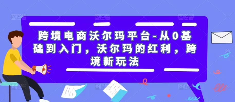 跨境电商沃尔玛平台-从0基础到入门，沃尔玛的红利，跨境新玩法-啄木鸟资源库