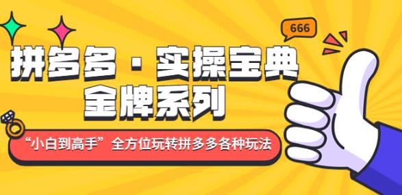 拼多多·实操宝典：金牌系列“小白到高手”带你全方位玩转拼多多各种玩法-啄木鸟资源库