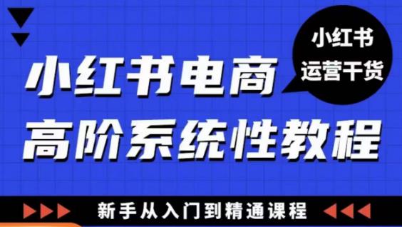 小红书电商高阶系统教程，新手从入门到精通系统课-啄木鸟资源库