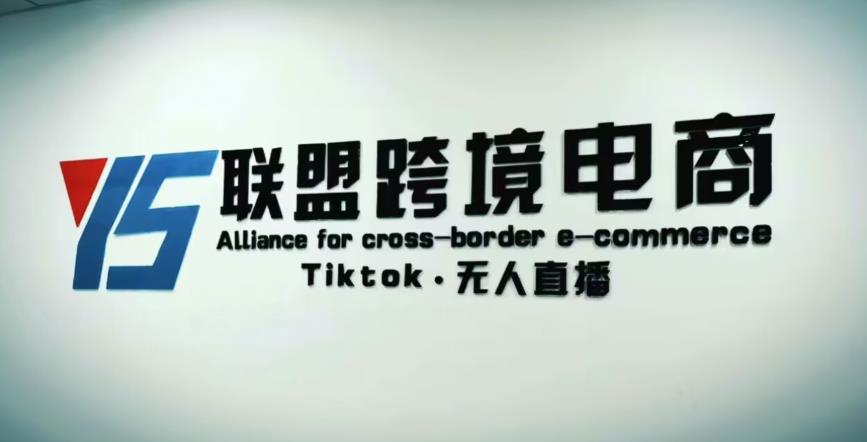 YS联盟·Tiktok无人直播，不出镜不剪辑不拍摄不发货无售后的跨境短视频躺赚玩法-啄木鸟资源库