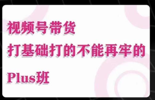 大播汇·视频号带货Puls班，视频号底层逻辑，起号自然流鱼塘等玩法-啄木鸟资源库