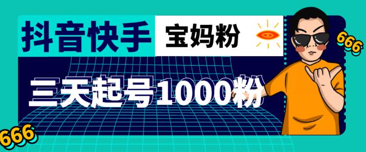 抖音快手三天起号涨粉1000宝妈粉丝的核心方法【详细玩法教程】-啄木鸟资源库