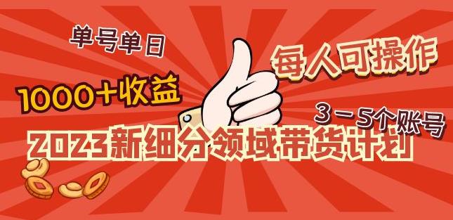 2023新细分领域带货计划：单号单日1000+收益不难，每人可操作3-5个账号-啄木鸟资源库