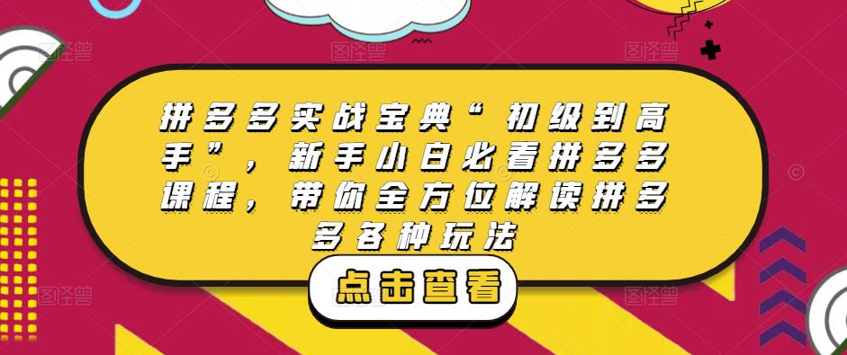 拼多多实战宝典“初级到高手”，新手小白必看拼多多课程，带你全方位解读拼多多各种玩法-啄木鸟资源库