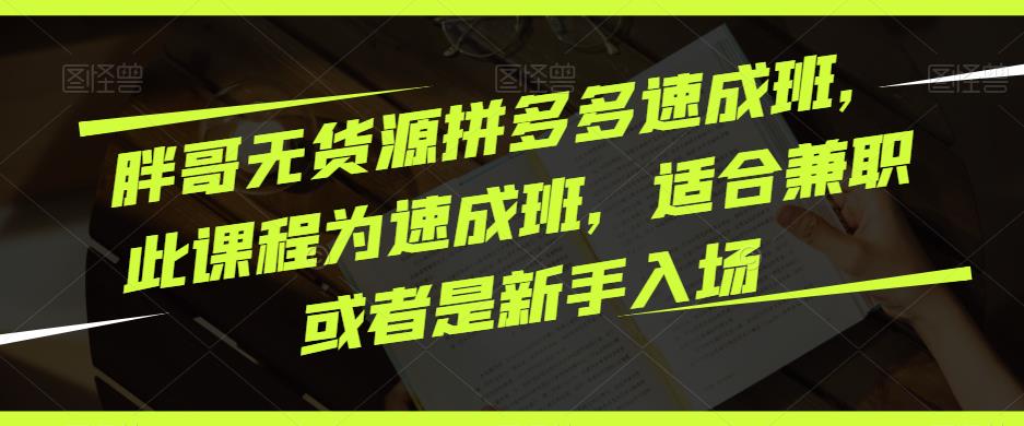 胖哥无货源拼多多速成班，此课程为速成班，适合兼职或者是新手入场-啄木鸟资源库