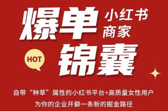 无畏·小红书商家爆单锦囊，掌握小红书各大规则，快速精准抢占行业和市场-啄木鸟资源库