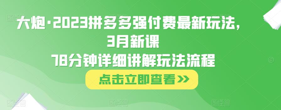 大炮·2023拼多多强付费最新玩法，3月新课​78分钟详细讲解玩法流程-啄木鸟资源库