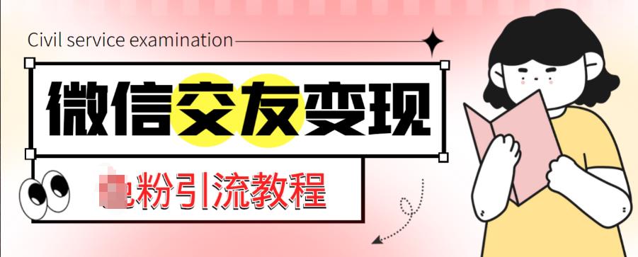 微信交友变现项目，吸引全网LSP男粉精准变现，小白也能轻松上手，日入500+-啄木鸟资源库