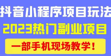 抖音小程序9.0新技巧，2023热门副业项目，动动手指轻松变现-啄木鸟资源库