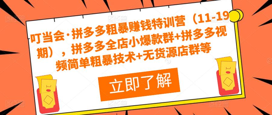 叮当会·拼多多粗暴赚钱特训营（11-19期），拼多多全店小爆款群+拼多多视频简单粗暴技术+无货源店群等-啄木鸟资源库