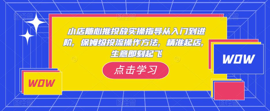 小店随心推投放实操指导从入门到进阶，保姆级投流操作方法，精准起店，生意即刻起飞-啄木鸟资源库