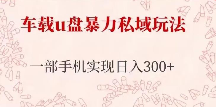 车载u盘暴力私域玩法，长期项目，仅需一部手机实现日入300+-啄木鸟资源库