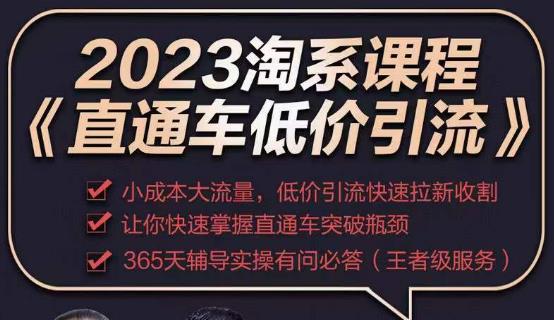 2023直通车低价引流玩法课程，小成本大流量，低价引流快速拉新收割，让你快速掌握直通车突破瓶颈-啄木鸟资源库