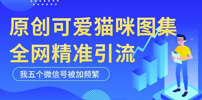 黑科技纯原创可爱猫咪图片，全网精准引流，实操5个VX号被加频繁-啄木鸟资源库