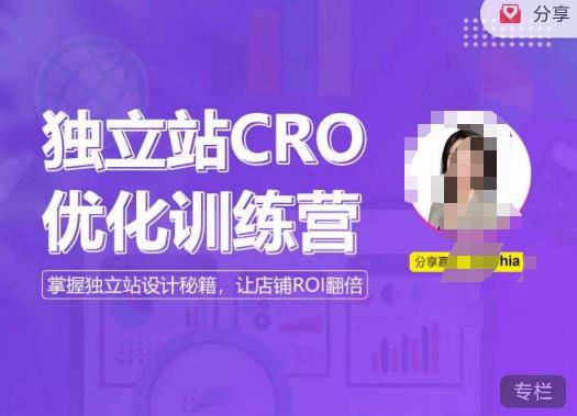 独立站CRO优化训练营，掌握独立站设计秘籍，打造高转化的独立站，让店铺ROI翻倍-啄木鸟资源库