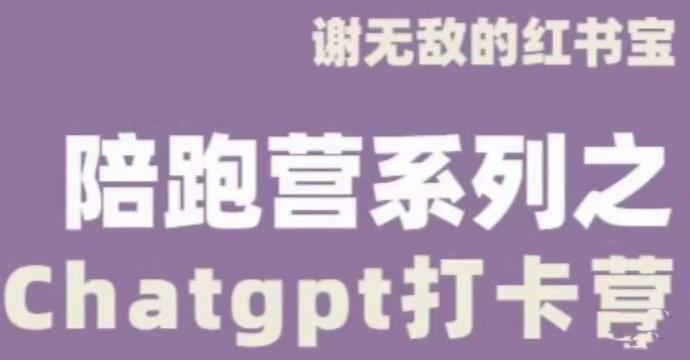 谢无敌ChatGPT打卡营，教你更好地使用ChatGPT来提高工作效率-啄木鸟资源库