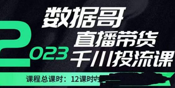 数据哥2023直播电商巨量千川付费投流实操课，快速掌握直播带货运营投放策略-啄木鸟资源库