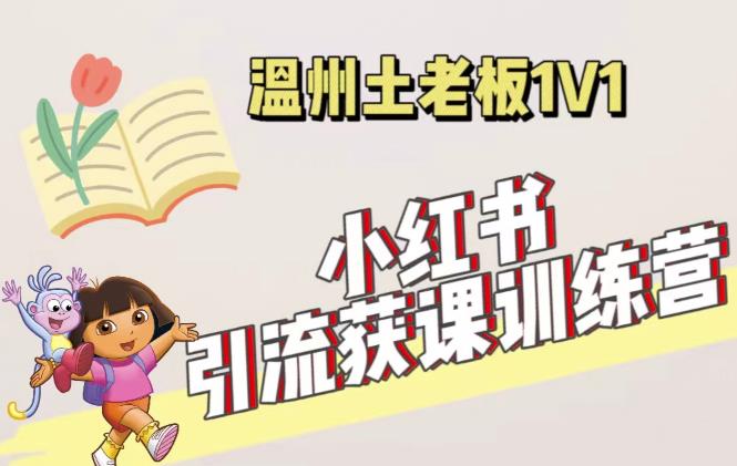 小红书1对1引流获客训练营：账号、内容、引流、成交（价值3999元）-啄木鸟资源库