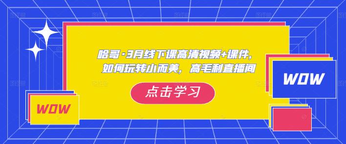 哈哥·3月线下实操课高清视频+课件，如何玩转小而美，高毛利直播间-啄木鸟资源库