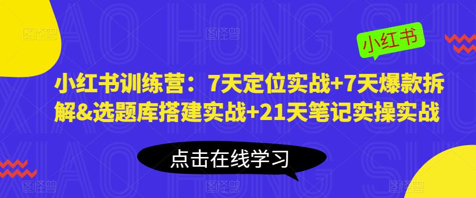 小红书训练营：7天定位实战+7天爆款拆解&选题库搭建实战+21天笔记实操实战-啄木鸟资源库