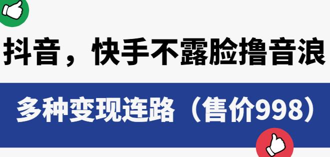 抖音快手不露脸撸音浪项目，多种变现连路（售价998）-啄木鸟资源库