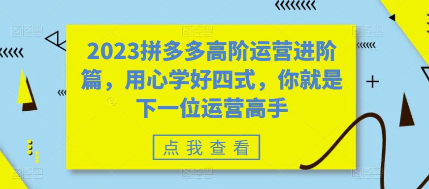 2023拼多多高阶运营进阶篇，用心学好四式，你就是下一位运营高手-啄木鸟资源库