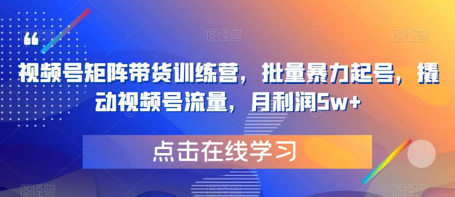 视频号矩阵带货训练营，批量暴力起号，撬动视频号流量，月利润5w+-啄木鸟资源库