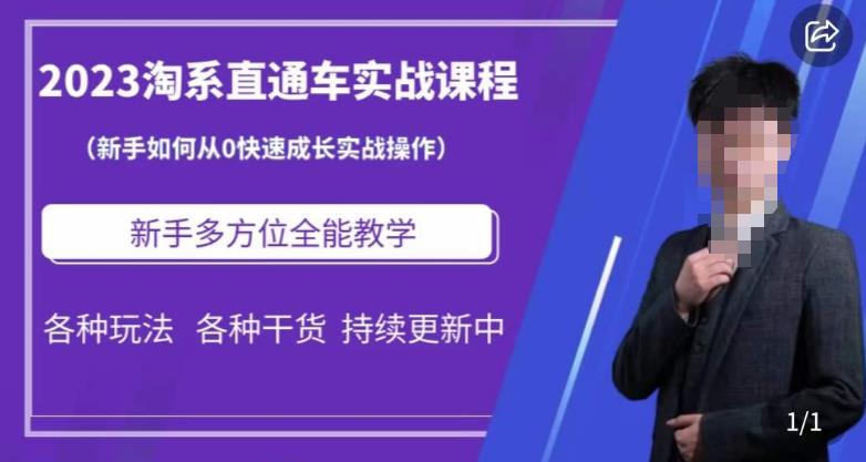 2023淘系直通车保姆式运营讲解，新手如何从0快速成长实战操作，新手多方位全能教学-啄木鸟资源库