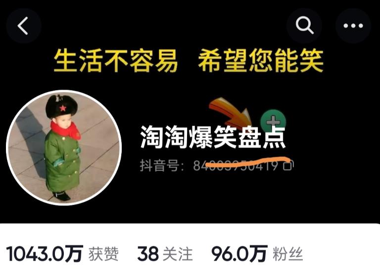 价值1000的搞笑盘点大V淘淘爆笑盘点详细课程+软件，中视频变现-啄木鸟资源库