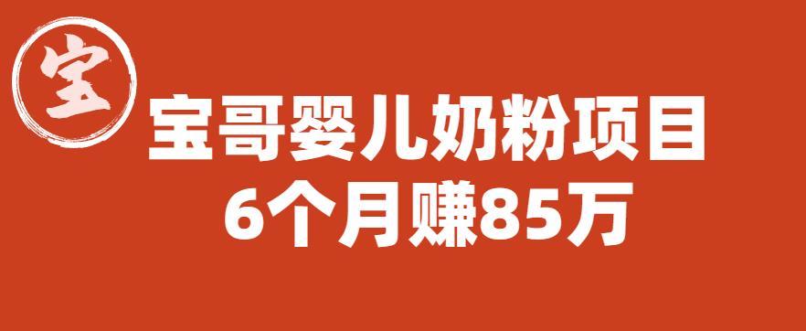 宝哥婴儿奶粉项目，6个月赚85w【图文非视频】【揭秘】-啄木鸟资源库