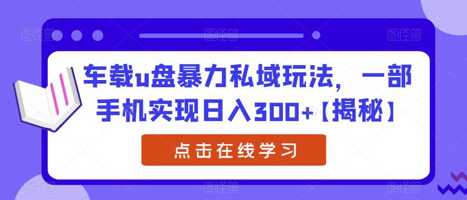 车载u盘暴力私域玩法，一部手机实现日入300+【揭秘】-啄木鸟资源库