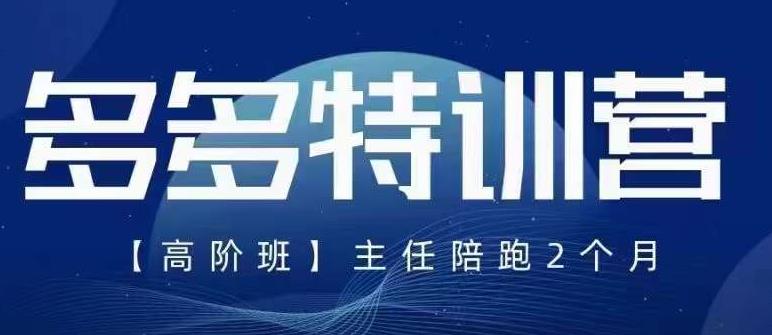 纪主任·5月最新多多特训营高阶班，玩法落地实操，多多全掌握-啄木鸟资源库