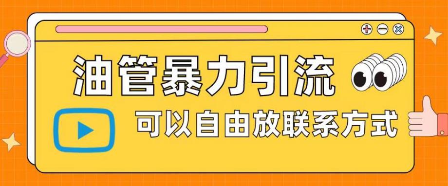 油管暴力引流，可以自由放联系方式【揭秘】-啄木鸟资源库