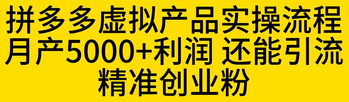 拼多多虚拟产品实操流程，月产5000+利润，还能引流精准创业粉【揭秘】-啄木鸟资源库