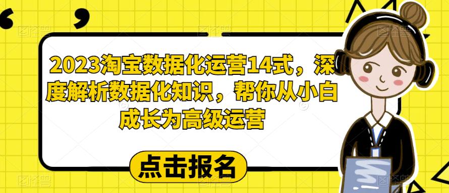 2023淘宝数据化运营14式，深度解析数据化知识，帮你从小白成长为高级运营-啄木鸟资源库