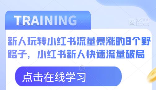 新人玩转小红书流量暴涨的8个野路子，小红书新人快速流量破局-啄木鸟资源库