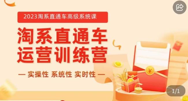 冠东·2023淘系直通车高级系统课，​实操性，系统性，实时性，直通车完整体系教学-啄木鸟资源库