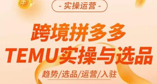 伍跃·跨境拼多多TEMU实操与选品，​趋势/选品/运营/入住（27节完整）-啄木鸟资源库