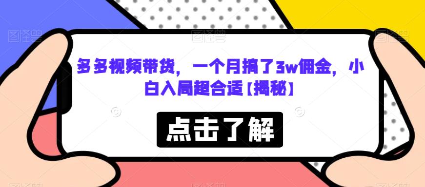 多多视频带货，一个月搞了3w佣金，小白入局超合适【揭秘】-啄木鸟资源库