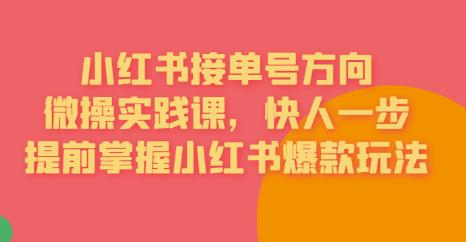 接单号方向·小红书微操实践课，快人一步，提前掌握小红书爆款玩法-啄木鸟资源库