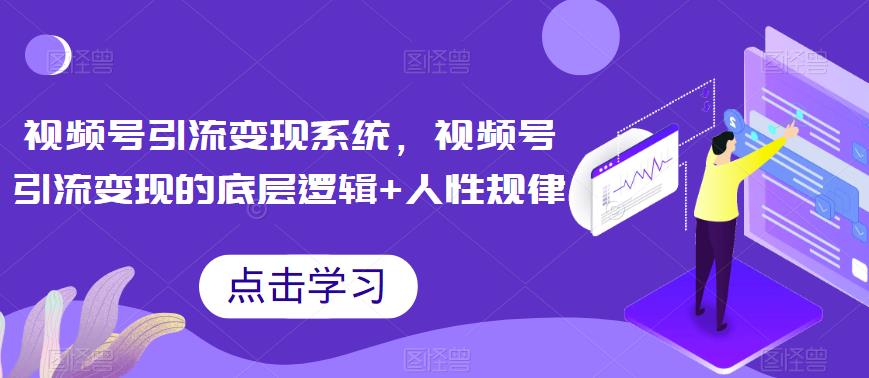 视频号引流变现系统，视频号引流变现的底层逻辑+人性规律-啄木鸟资源库