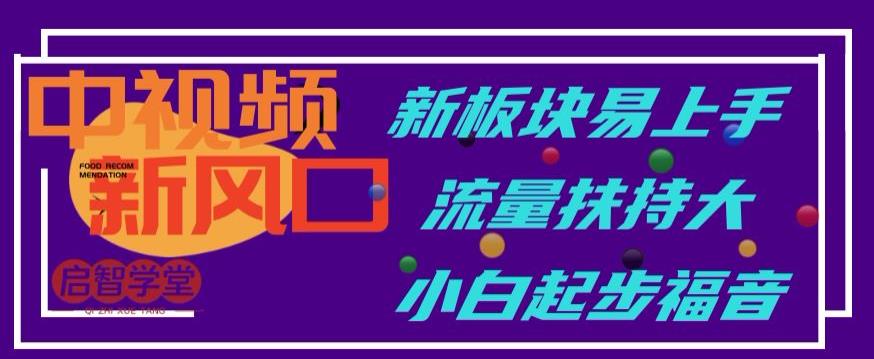 中视频新风口，新板块易上手，流量扶持大，小白起步福音【揭秘】-啄木鸟资源库