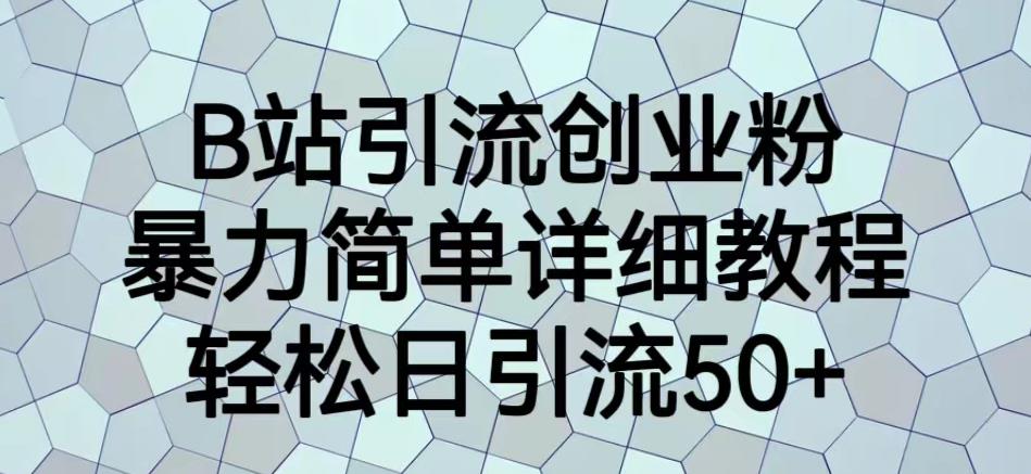 B站引流创业粉，暴力简单详细教程，轻松日引流50+【揭秘】-啄木鸟资源库