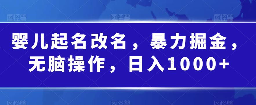 婴儿起名改名，暴力掘金，无脑操作，日入1000+【揭秘】-啄木鸟资源库