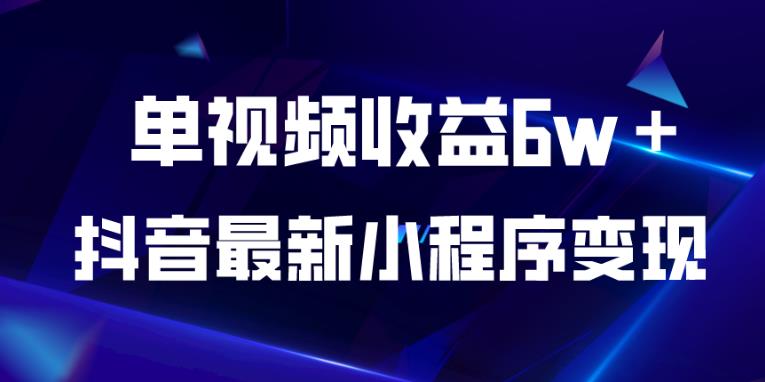 抖音最新小程序变现项目，单视频收益6w＋，小白可做【揭秘】-啄木鸟资源库