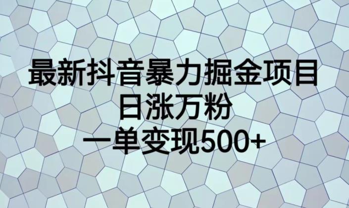 最新抖音暴力掘金项目，日涨万粉，一单变现500+【揭秘】-啄木鸟资源库